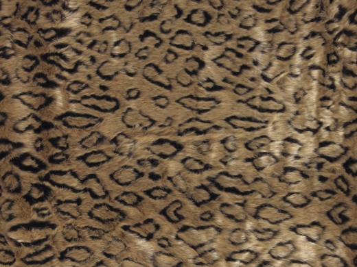 519487 (a): :1600x1200